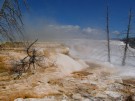 Yellowstone National Park, Mammoth Hot Springs Terraces
